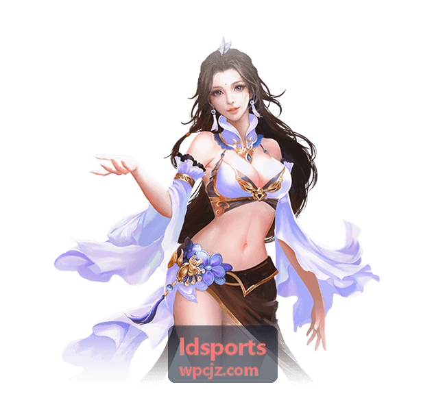 ldsports 往届城市联赛决赛现场